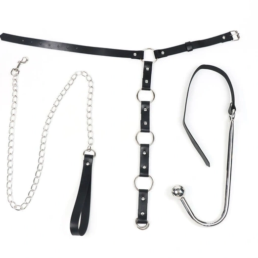 Hook Kinky with Leash Anal 5853 and EverydayUse Collar 1015
